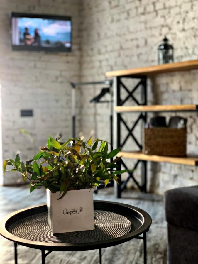 Luxury_Loft Lejlighed Kamjanets-Podilskyi Eksteriør billede