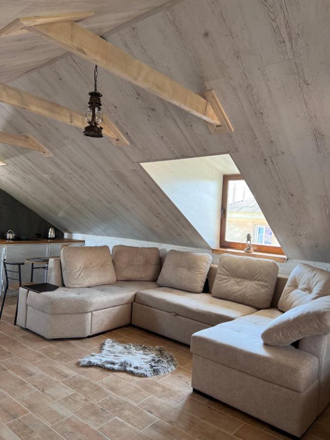 Luxury_Loft Lejlighed Kamjanets-Podilskyi Eksteriør billede